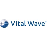 VitalWave Consulting